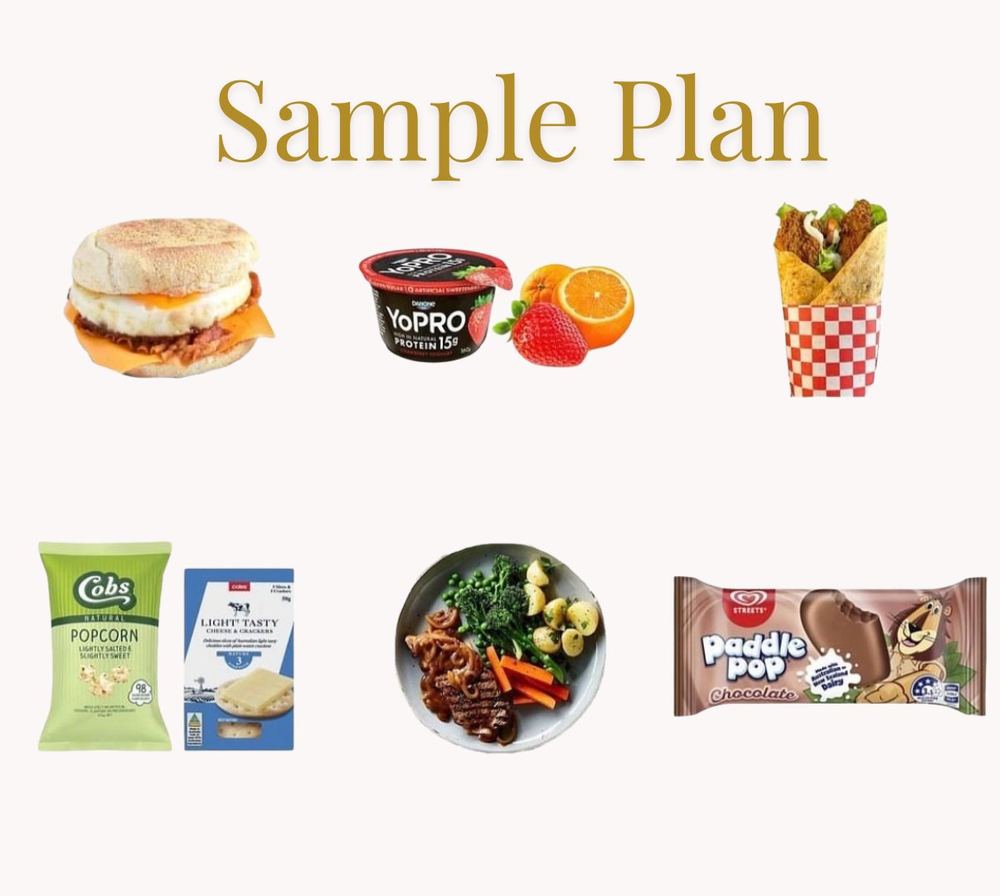Sample meal plate